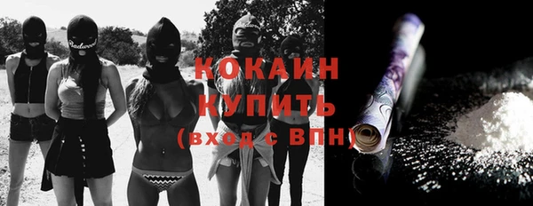 стаф Горняк
