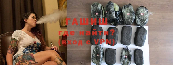 стаф Горняк