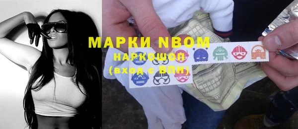 стаф Горняк