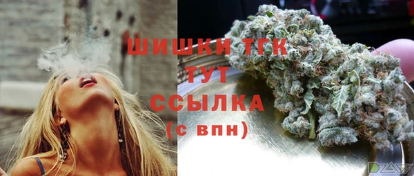 стаф Горняк