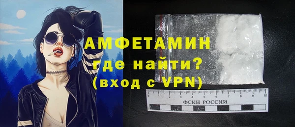 стаф Горняк