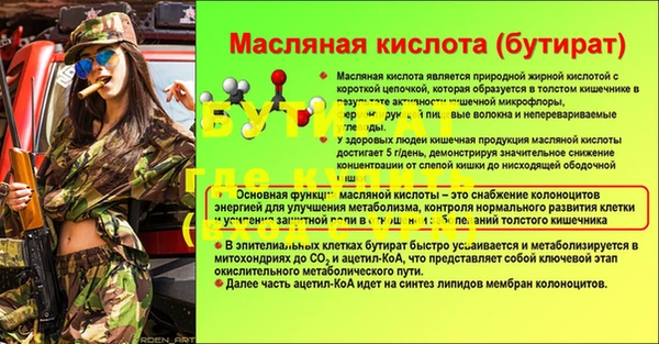 стаф Горняк