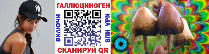 Галлюциногенные грибы MAGIC MUSHROOMS  Купить закладки  Котлас 